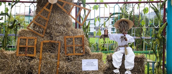 Dożynki Gminne 2014 w Radziechowach