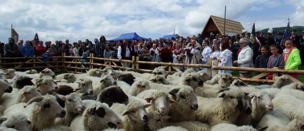 REDYK GMINNY W PRZYBĘDZY