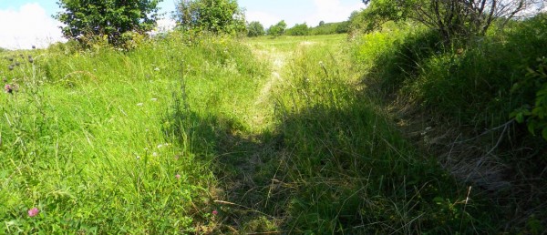 Apel do Mieszkańców i Właścicieli nieruchomości!