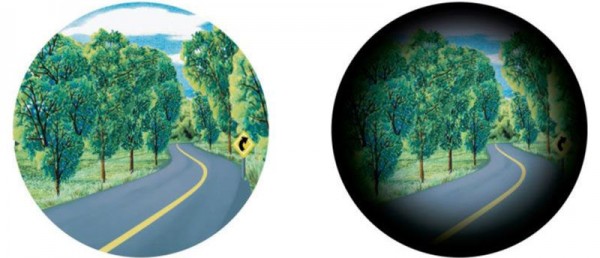 Ogólnopolska kampania edukacyjna: ''Jaskra nie boli – kradnie wzrok''