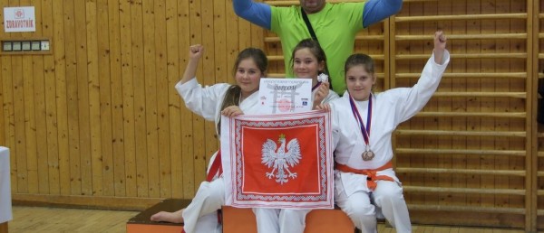 POLSKO CZESKIE WALKI