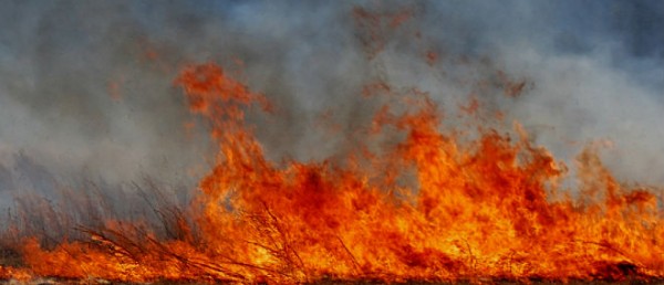 ''Nie wypalaj traw - przecież nie zabija się życia'' projekt w szkole w Radziechowach