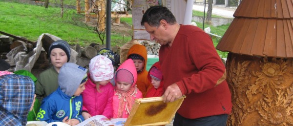 Pozwólmy pszczołom zapylać rośliny i wytwarzać miód