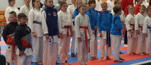 CZESKIE SREBRA DLA POLEK