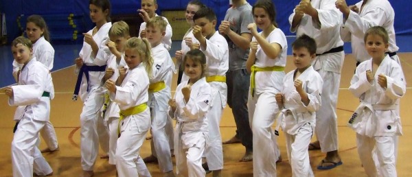 PRZEDWAKACYJNE WARSZTATY KARATE!