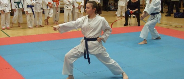 UROCZYSTY  TURNIEJ  KARATE ''ARAWSHI'' ZAINICJOWAŁO OBCHODY STULECIA NIEPODLEGŁOŚCI