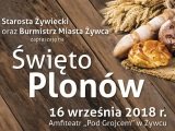 Festiwal Smaku - 16 września 2018r. - Amfireatr w Żywcu