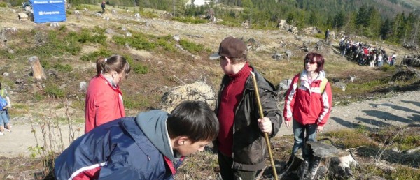 Jesteśmy silni tym, co po sobie zostawiamy, posadźmy razem milion drzew!