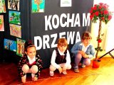 Kocham Drzewa - podsumowanie