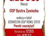 Jednostka OSP roku - zagłosuj na OSP BYSTRA!