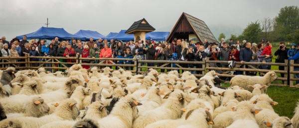 REDYK 2019 w Przybędzy już za nami...