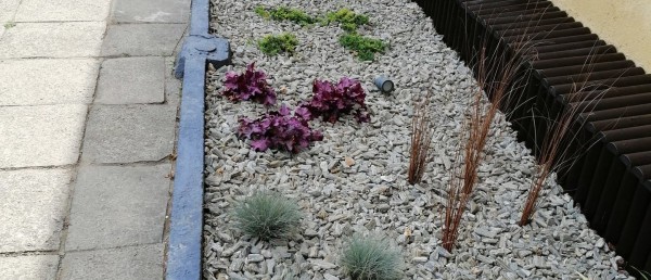 Zagospodarowanie terenu zieleni przed domem ludowym oraz monitoring obejścia wokół domu ludowego w Radziechowach