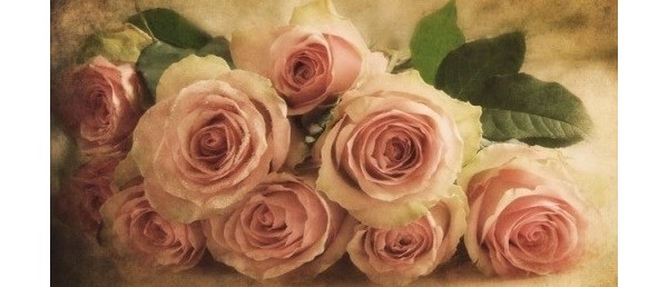 Święto Komisji Edukacji Narodowej - Wszystkiego najlepszego drodzy nauczyciele!