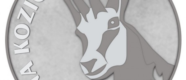 VI MARATON BESKIDY ze Srebrną Kozicą!