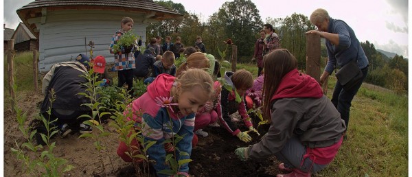 A MOŻE TY ZŁOŻYSZ WNIOSEK?