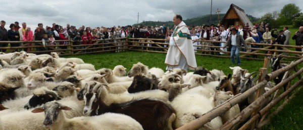 Poświęcenie owiec w Przybędzy
