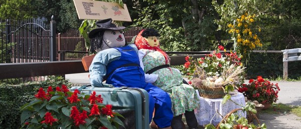 DOŻYNKOWE ŚWIĘTOWANIE W RADZIECHOWACH!