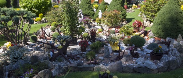 Konkurs na „Najpiękniejszy ogród  w gminie Radziechowy-Wieprz” - rozwiązany