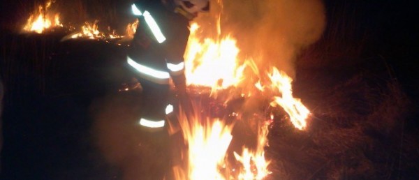 Co grozi za wypalanie traw?