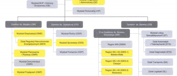 Schemat organizacyjny wydziałów firmy TAURON