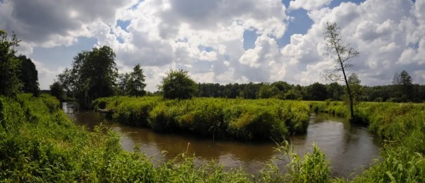 Zaadoptuj rzekę 2015 – otocz rzekę opieką