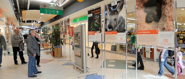 Wiosenna zbiórka makulatury przed hipermarketem Auchan