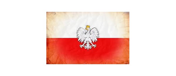 Rozstrzygnięto  IX Ogólnopolski Konkurs Historyczny na Apel Poległych