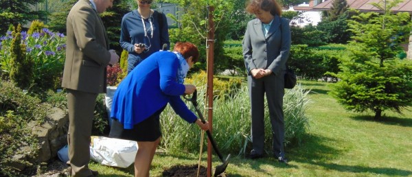 Jakie funkcje spełnia las?