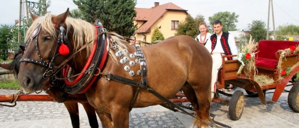 Dożynki Gminne w Brzuśniku
