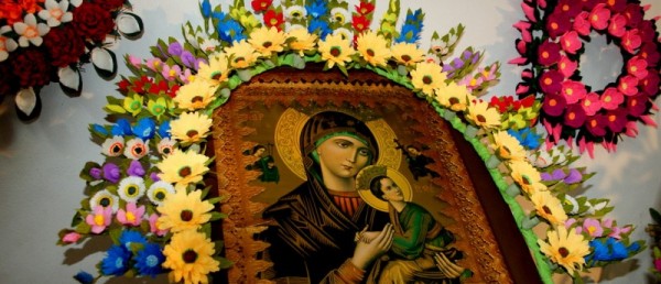 Kwiaty naszych ogrodów, pól i łąk - 2012